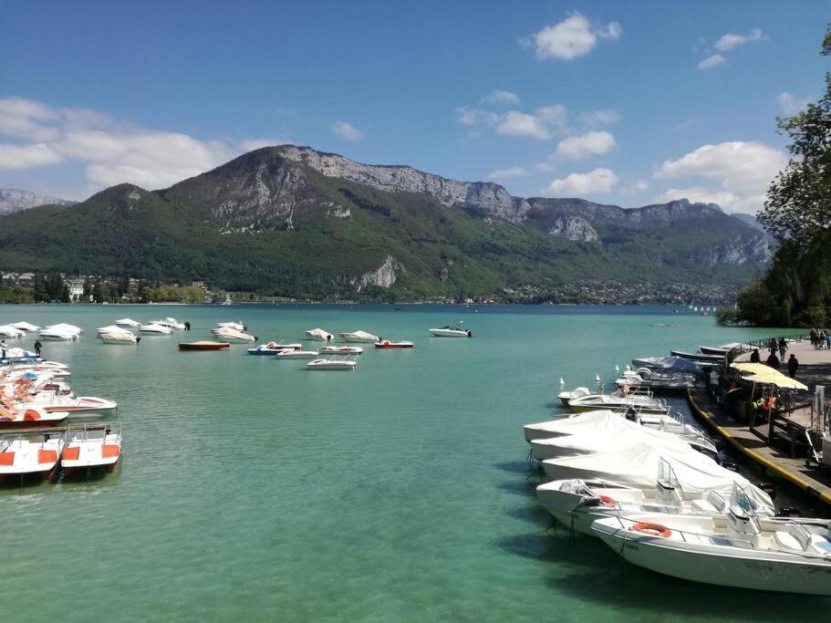 Cabana & Le Central - Proche Lac , Terrasse Et Parking 阿讷西 外观 照片